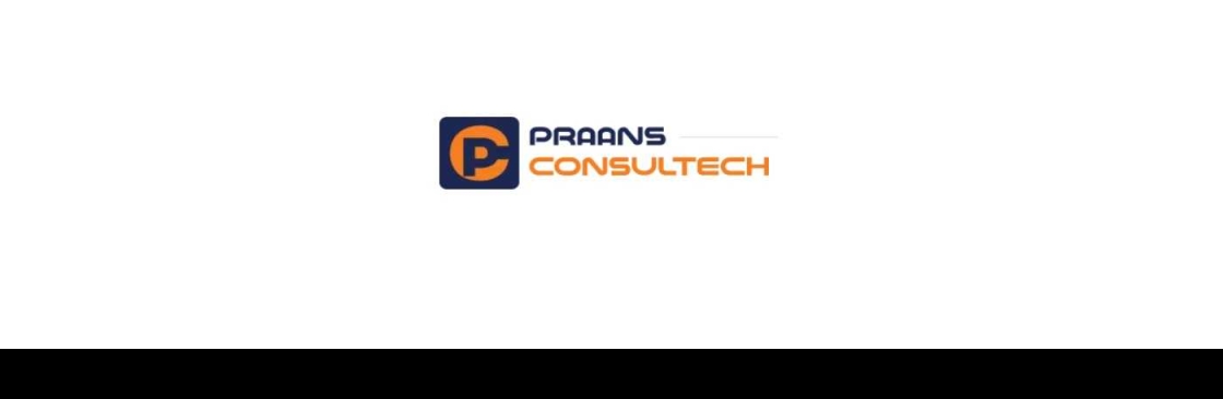 praansconsultech Cover Image