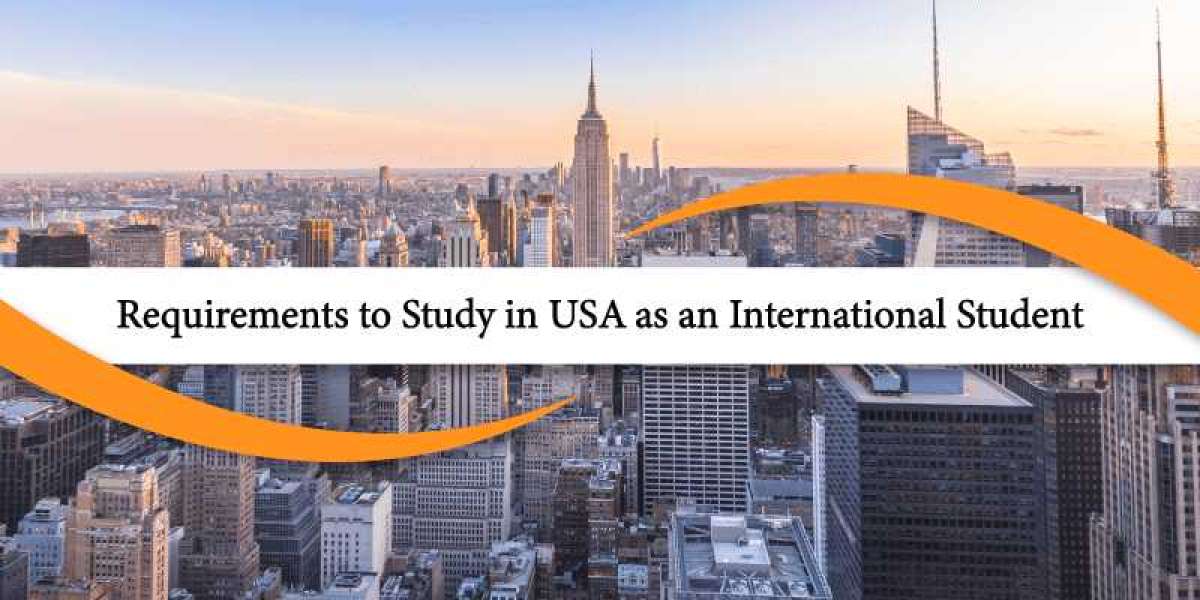 How can an International Student Study in the USA?
